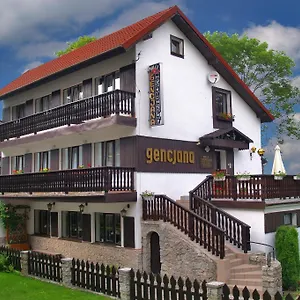 Gencjana Szklarska Poręba